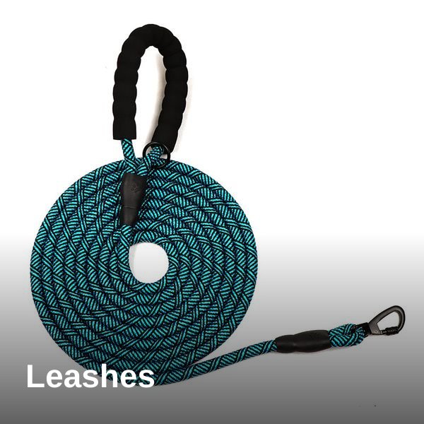 Leashes collection