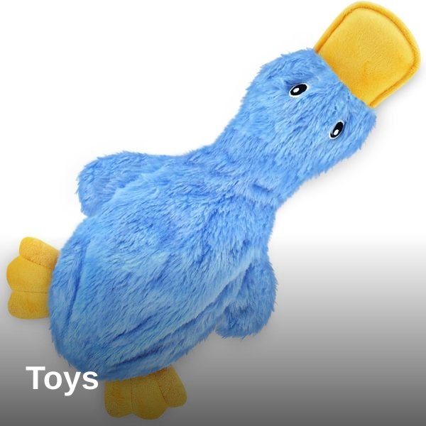 Toys collection